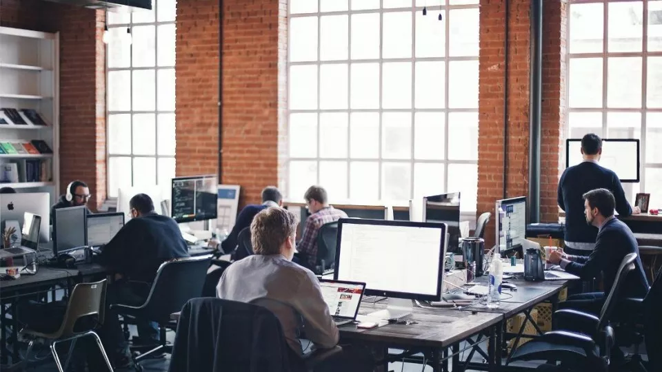 Как выбрать веб-студию в Борзе по кейсам