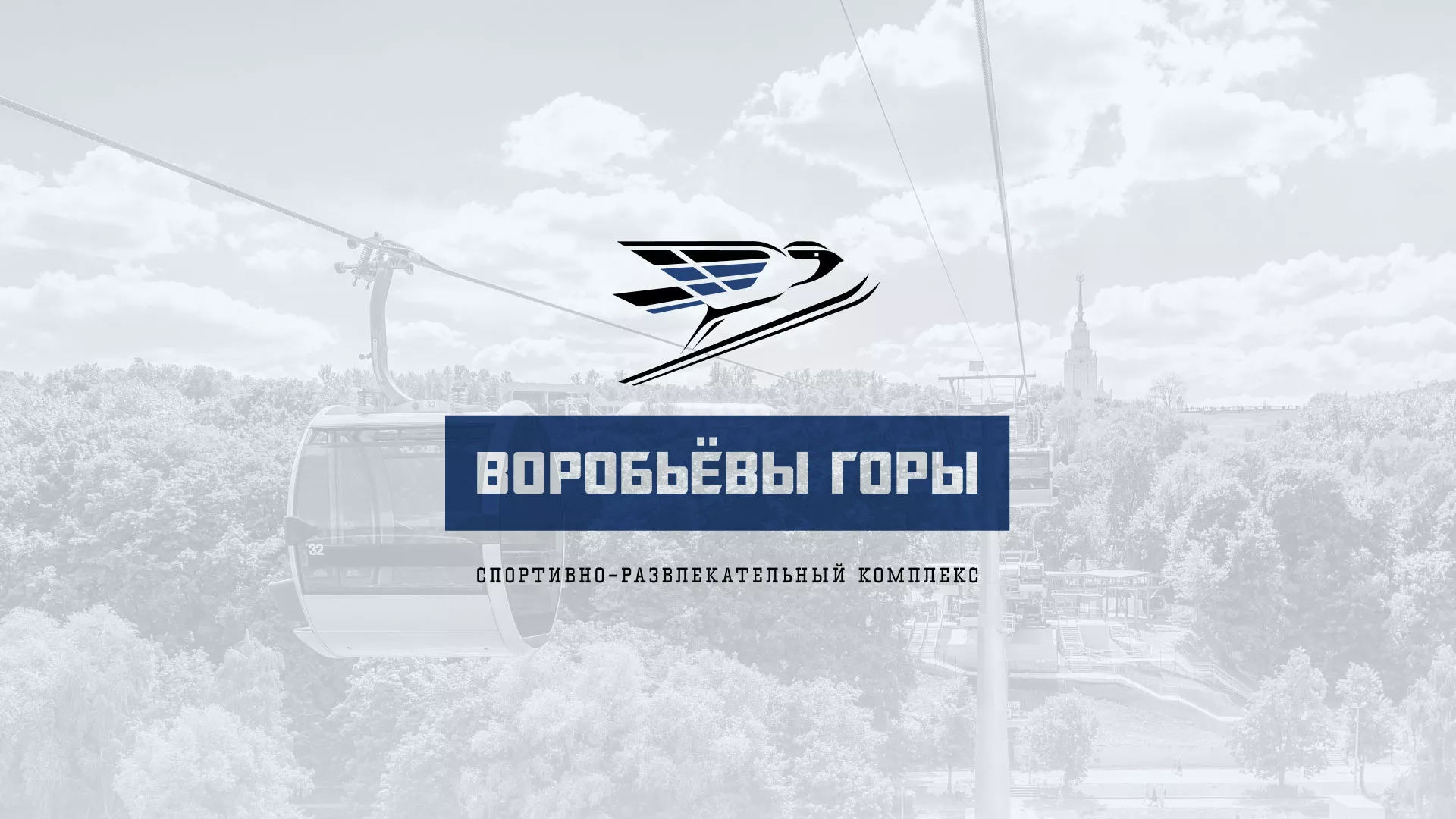 Разработка сайта в Борзе для спортивно-развлекательного комплекса «Воробьёвы горы»