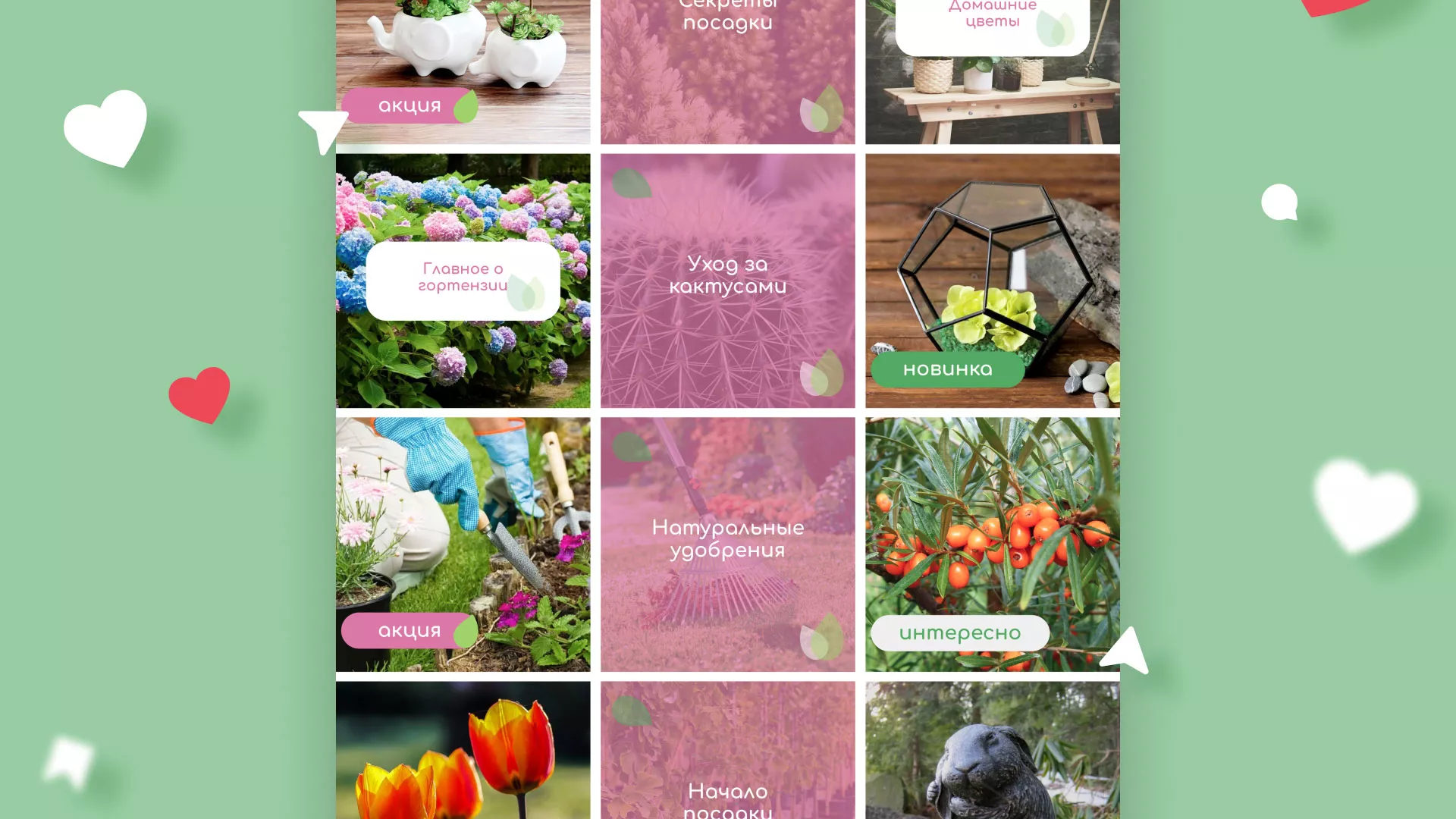 Разработка оформления профиля Instagram для магазина «Floraint» в Борзе