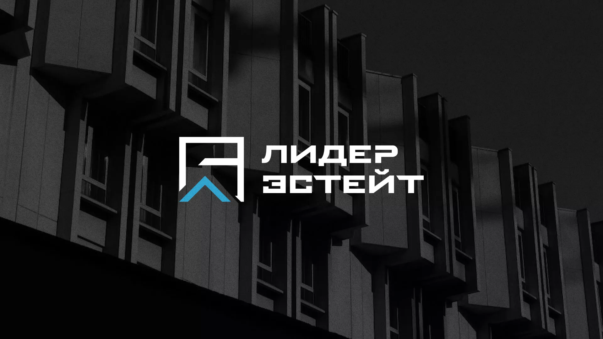 Разработка логотипа агентства недвижимости «Лидер Эстейт» в Борзе